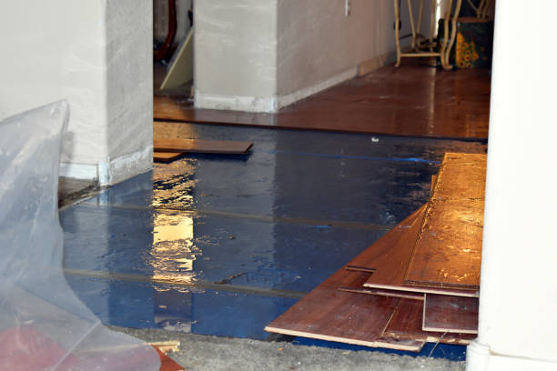 Professional Sewage Cleanup technician working in Williston Park, NY